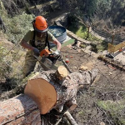 Forestrack servicios de limpieza forestal Forestrack servicios de limpieza forestal