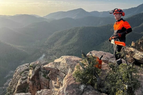 forestrack servicios forestales forestrack servicios forestales