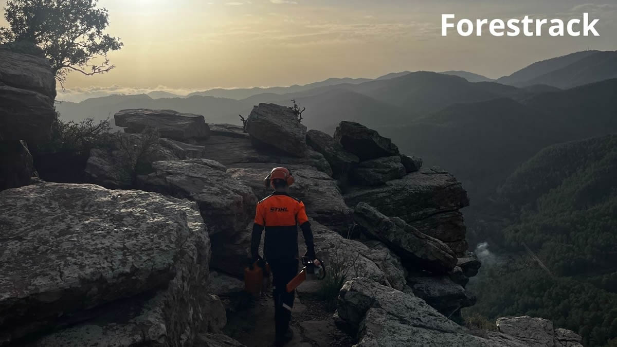 forestrack servicios forestales y jardineria