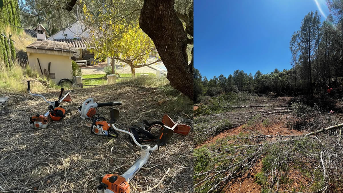 servicios forestales especializados