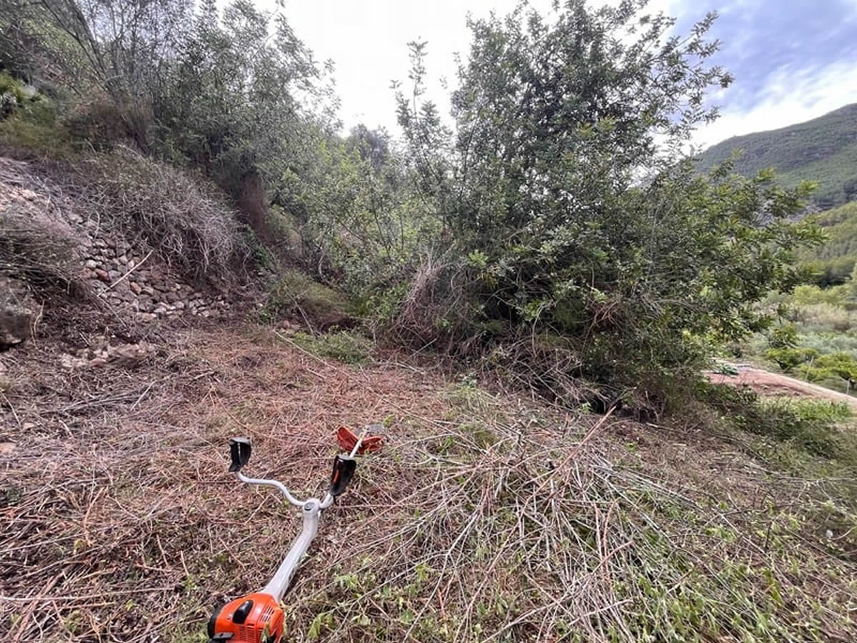 terreno limpiado y protegido de incendios terreno limpiado y protegido de incendios