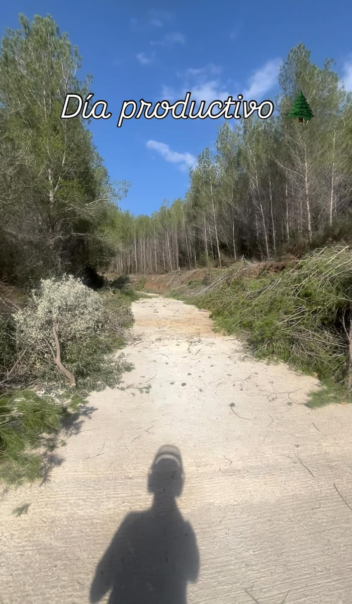 forestrack desbroce forestrack desbroce